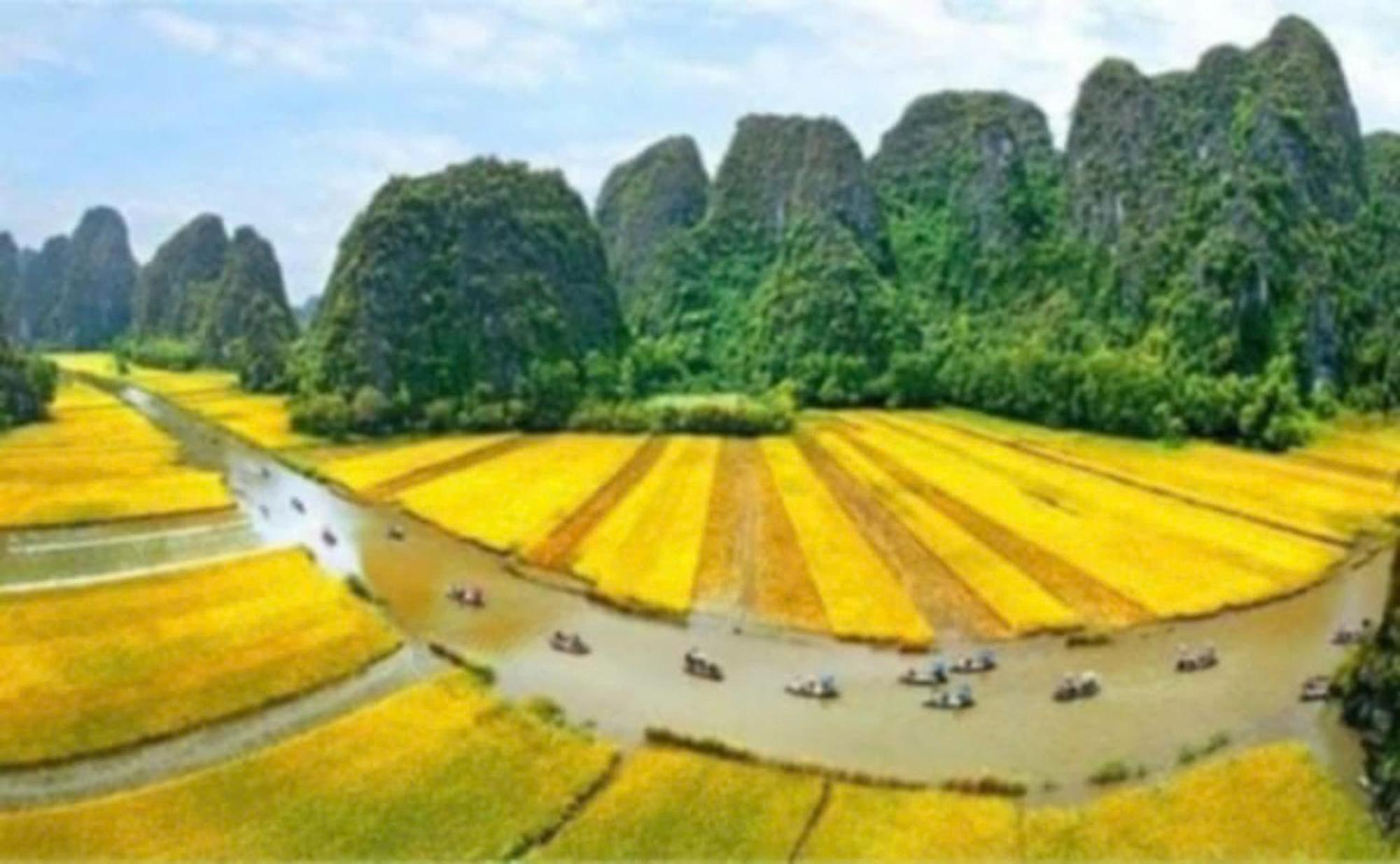 Appartement Tam Coc Pomelo Garden à Ninh Bình Extérieur photo
