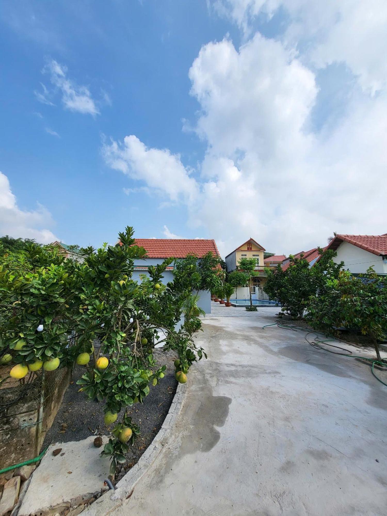 Appartement Tam Coc Pomelo Garden à Ninh Bình Extérieur photo