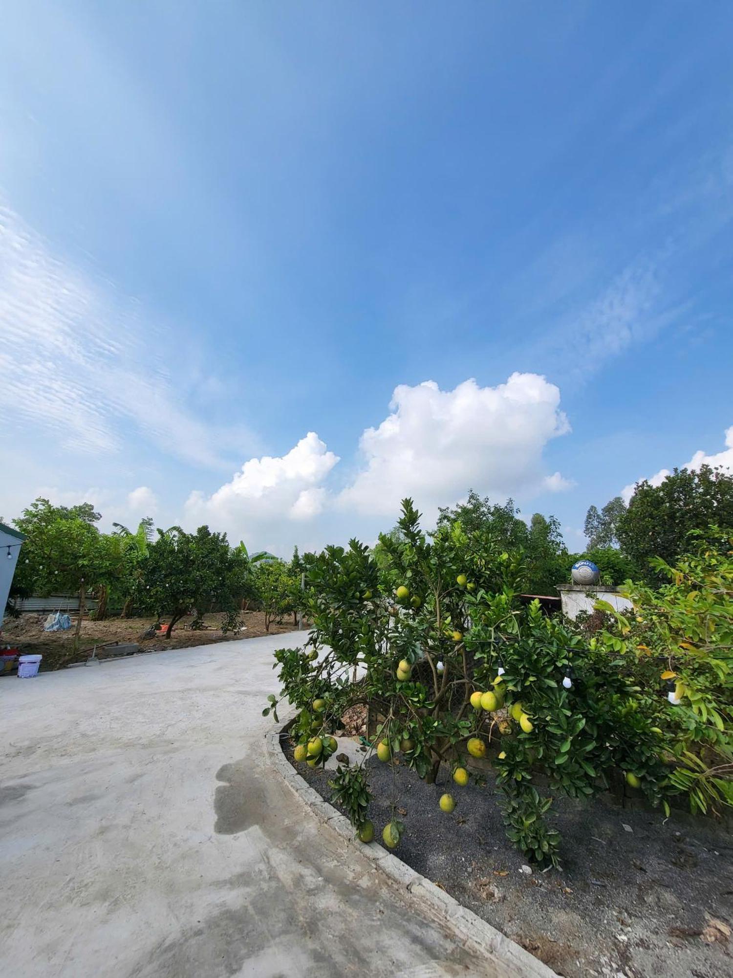Appartement Tam Coc Pomelo Garden à Ninh Bình Extérieur photo
