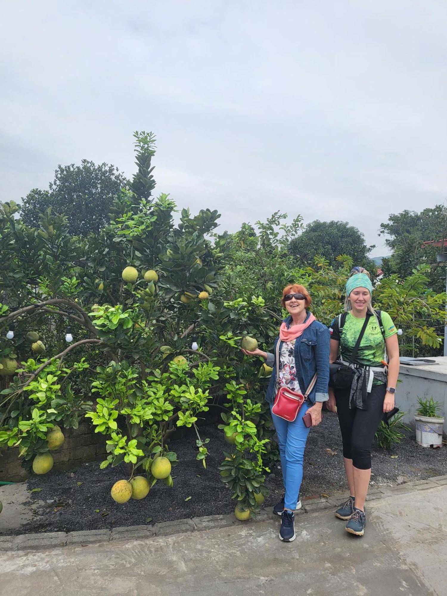 Appartement Tam Coc Pomelo Garden à Ninh Bình Extérieur photo