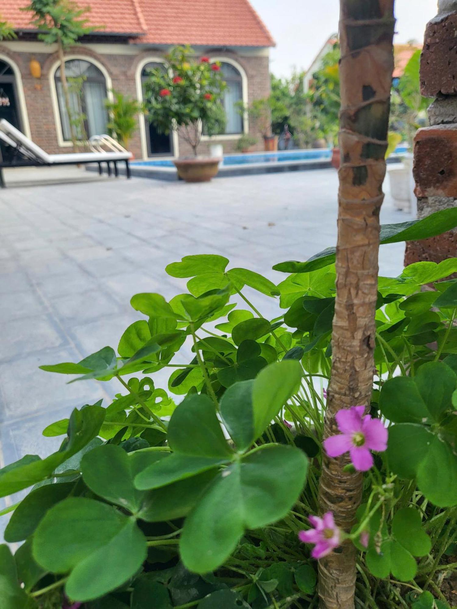 Appartement Tam Coc Pomelo Garden à Ninh Bình Extérieur photo