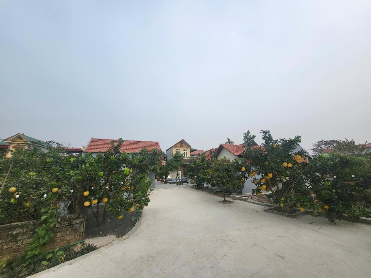 Appartement Tam Coc Pomelo Garden à Ninh Bình Extérieur photo